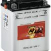 Motorradbatterien Stahlgruber Banner Bike Bull AGM+SLA 12V 11Ah (51101)